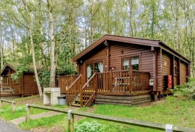 Sherwood Sylvan 5